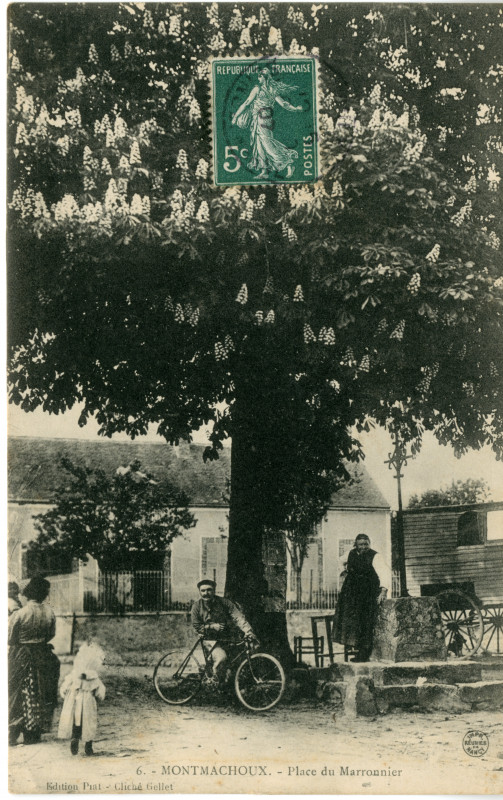 Carte postale ancienne Place du Marronnier à Montmachoux