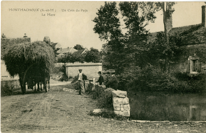 Carte postale ancienne Un Coin du Pays - La Mare à Montmachoux