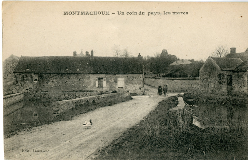 Carte postale ancienne Un coin du pays, les mares à Montmachoux