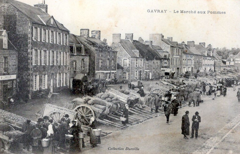 Carte postale ancienne Le Marché aux Pommes à Gavray-sur-Sienne
