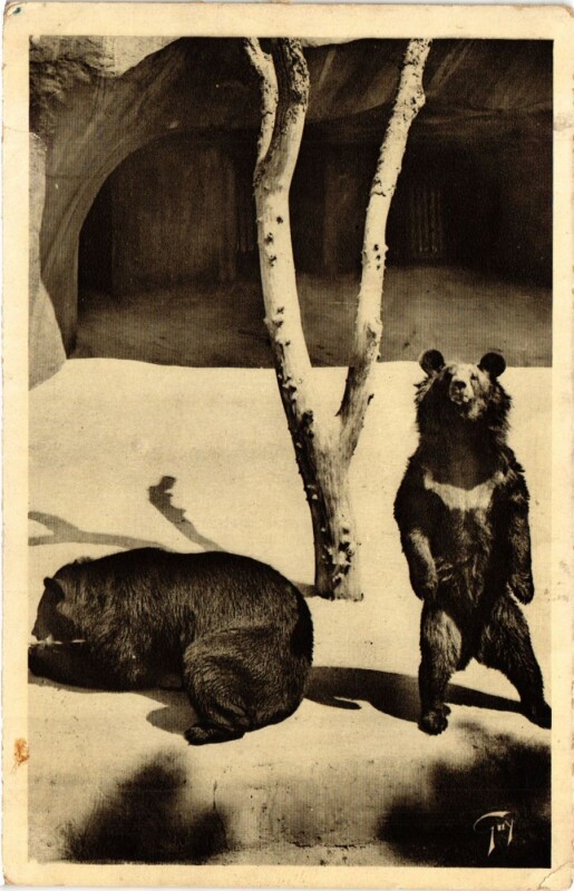 Carte postale ancienne Paris 12e-Parc Zoologique-Ours á Collier à Paris 12e