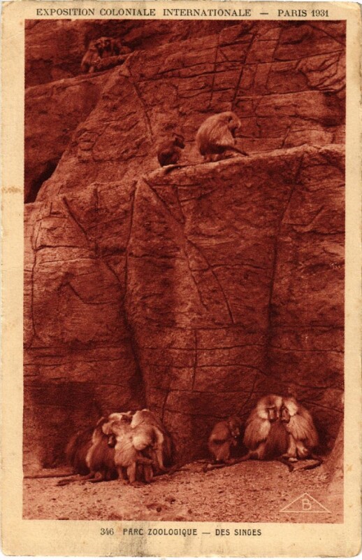 Carte postale ancienne Paris (5e) - Parc Zoologique Des Singes à Paris 5e
