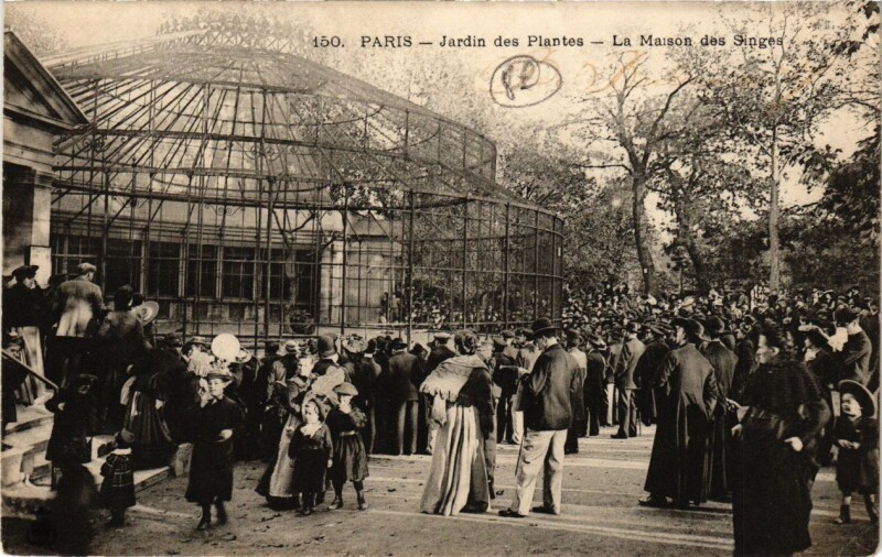 Carte postale ancienne Paris (5e) - Jardin des Plantes La Maison des Singes à Paris 5e