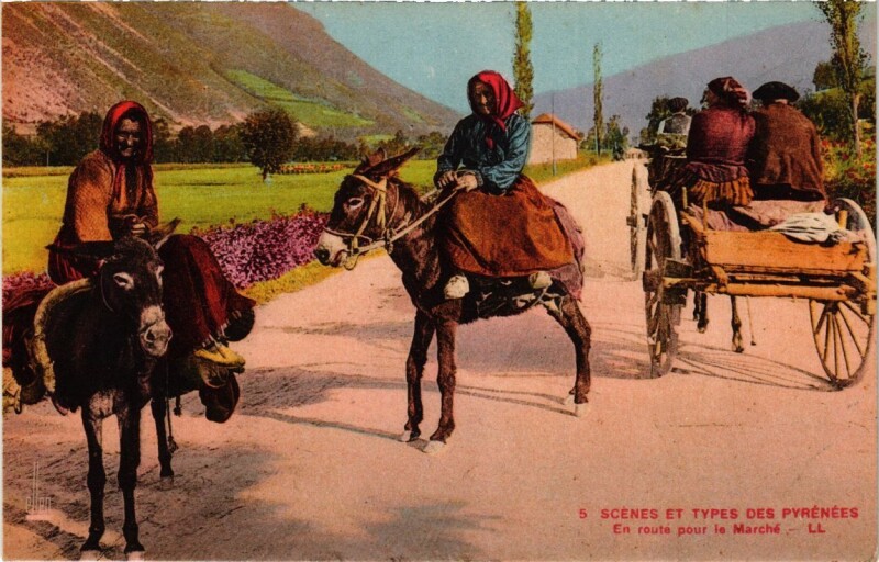 Carte postale ancienne Scenes et Types des Pyrenées - En route pour le Marché