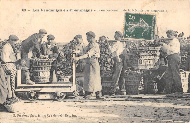 Carte postale ancienne Les Vendanges En Champagne Transbordement De La Recolte Par Wagonnets