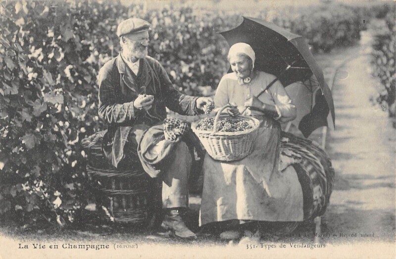 Carte postale ancienne La Vie En Champagne Types De Vendangeurs