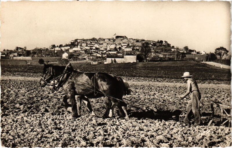 Carte postale ancienne Monflanquin - Vue générale - Au 1er plan les.. à Monflanquin