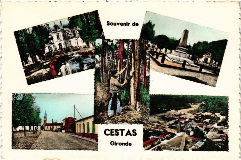 Carte postale ancienne Souvenir de Cestas - Gironde à Cestas