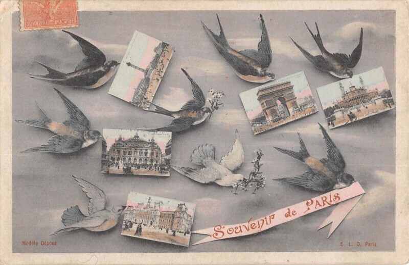 Carte postale ancienne Paris Souvenir De Paris