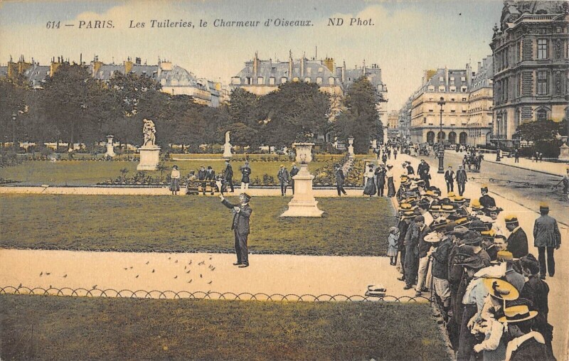 Carte postale ancienne Les Tuileries, le Charmeur d'Oiseaux à Paris 1er