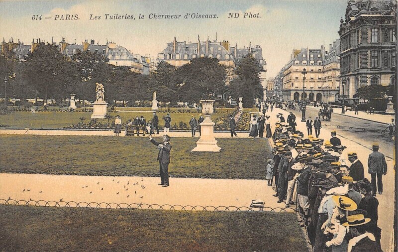 Carte postale ancienne Les Tuileries, le Charmeur d'Oiseaux à Paris 1er