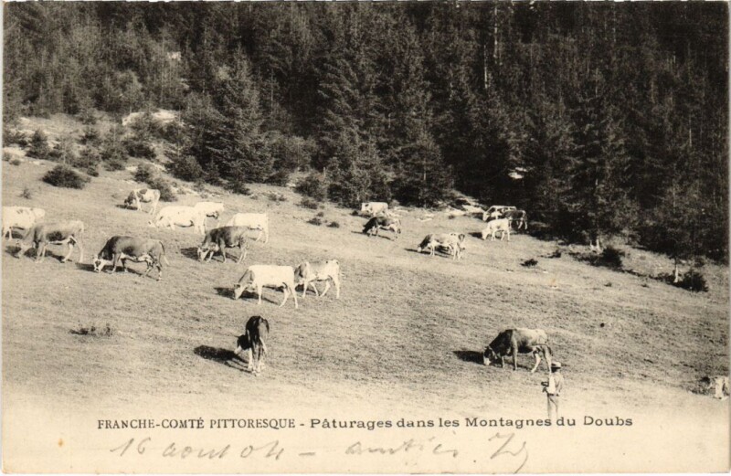 Carte postale ancienne Paturages dans les Montagnes du Doubs France