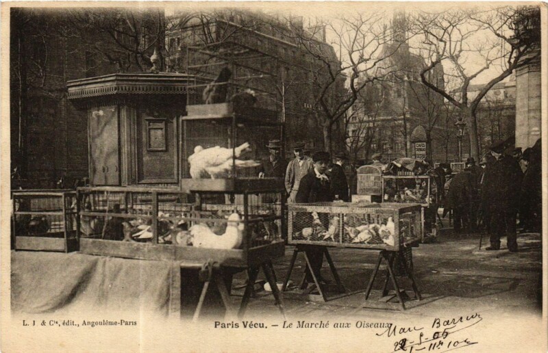 Carte postale ancienne Le Marché aux Oiseaux à Paris 4e