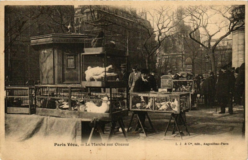 Carte postale ancienne Le Marché aux Oiseaux à Paris 4e