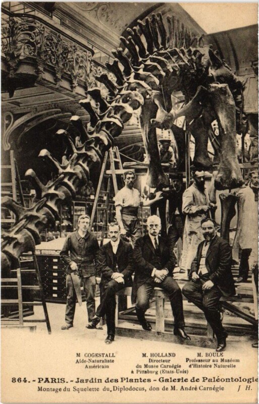 Carte postale ancienne Paris 5e Jardin des Plantes Galerie de Paleontologie Diplodocus à Paris 5e