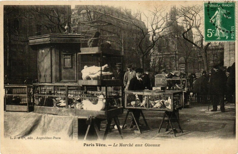 Carte postale ancienne Le Marché aux Oiseaux à Paris 4e