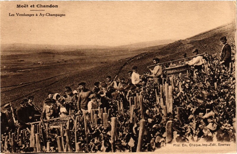 Carte postale ancienne Moet et Chandon - Les Vendanges a Ay-Champagne