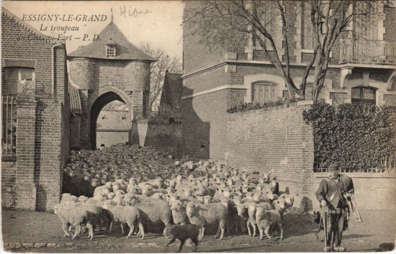 Carte postale ancienne EEssigny-le-Grand Le troupeau à Essigny-le-Grand