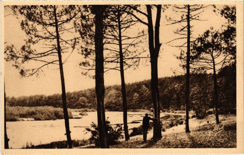 Carte postale ancienne Paysage a Aureilhan France à Aureilhan