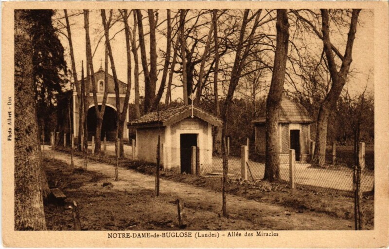 Carte postale ancienne Notre-Dame de Buglose Allee des Miracles France