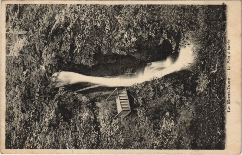Carte postale ancienne Le Mont Dore Le Plat a barbe à Mont-Dore