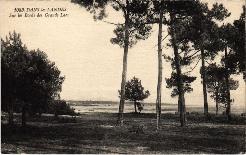 Carte postale ancienne Dans les Landes Sur les Bords des Grands Lacs France