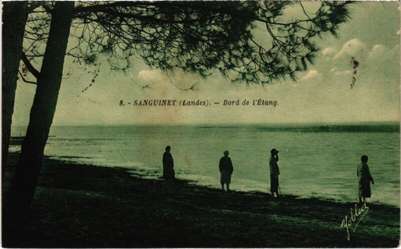 Carte postale ancienne Sanguinet Bord de l'Etang France à Sanguinet