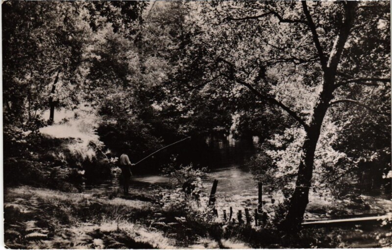 Carte postale ancienne Les beaux sites landais En suivant la Leyre France