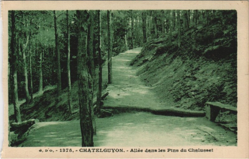 Carte postale ancienne Chatel Guyon Allee dans les Pins du Chalusset à Chalus
