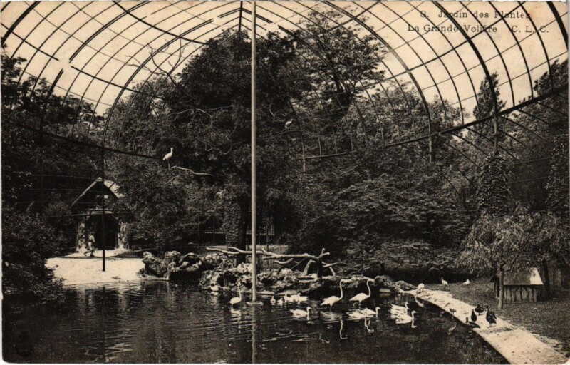 Carte postale ancienne Paris 5e Jardin des Plantes La Grande Coliere à Paris 5e