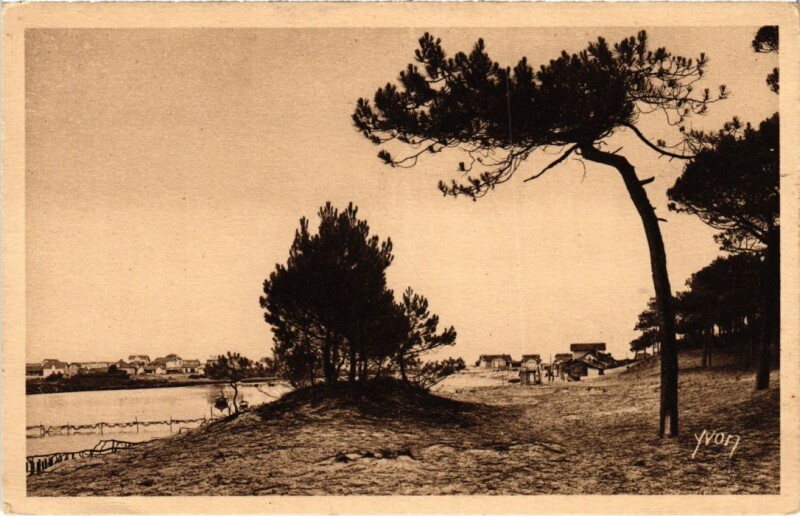Carte postale ancienne Les Landes de Gascogne Mimizan-Plage France à Mimizan
