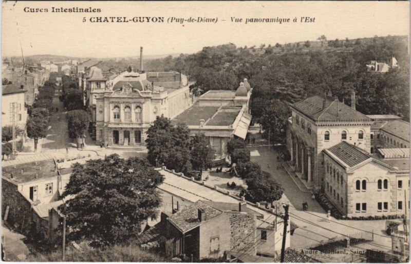 Carte postale ancienne Chatel Guyon vue panoramique