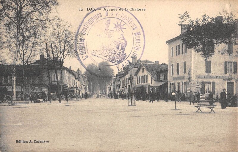 Carte postale ancienne Dax Avenue De La Chalosse à Losse