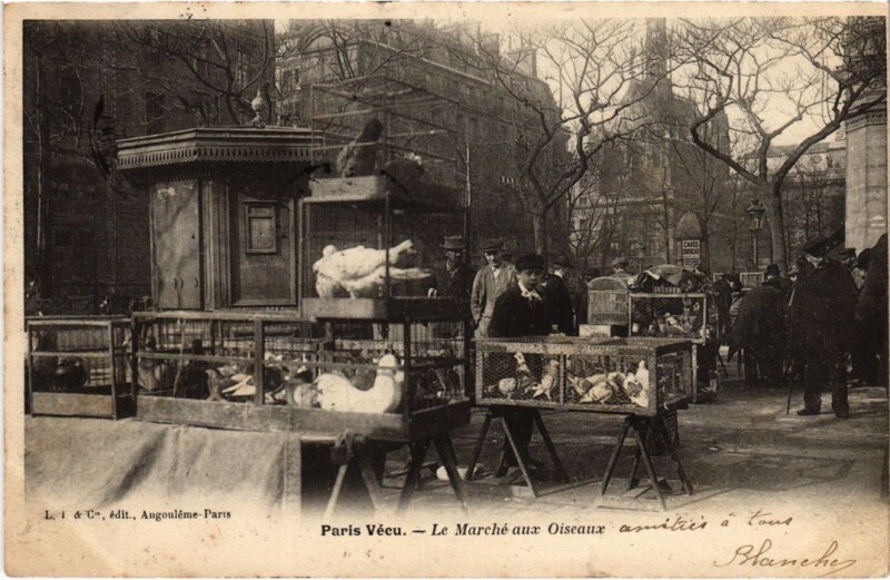 Carte postale ancienne Le Marché aux Oiseaux à Paris 4e