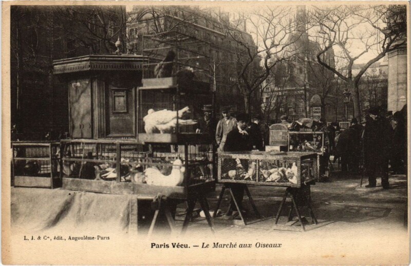 Carte postale ancienne Le Marché aux Oiseaux à Paris 4e