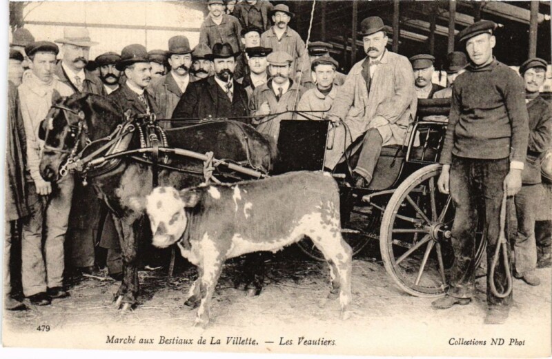 Carte postale ancienne Marché aux Bestiaux de La Villette - Les Veautiers à Paris 19e