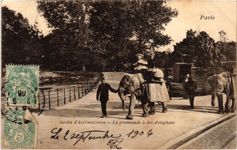 Carte postale ancienne Jardin d'Acclimatation - La promenade à dos d'éléphant à Paris