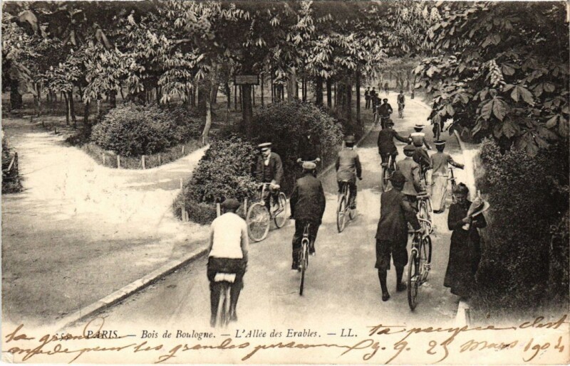 Carte postale ancienne Bois de Boulogne - L'Allée des Erables à Paris 16e