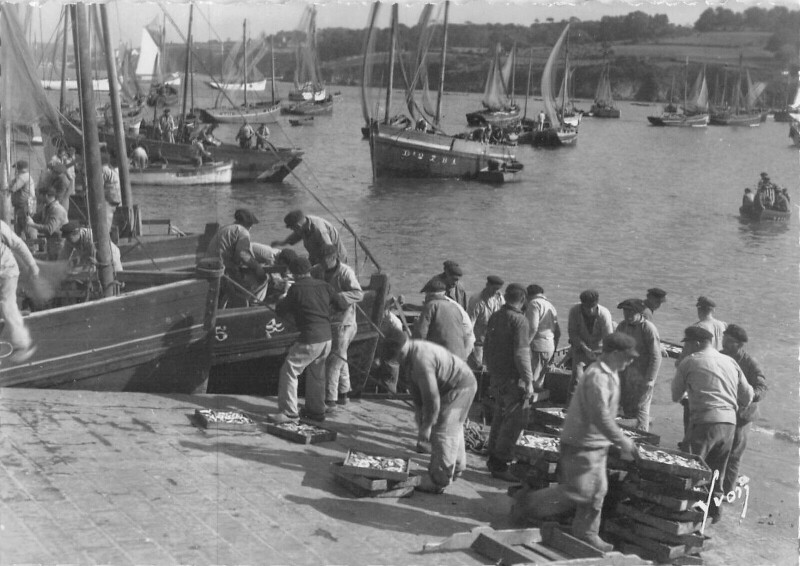 Carte postale ancienne Douarnenez Arrivage De La Sardine à Douarnenez