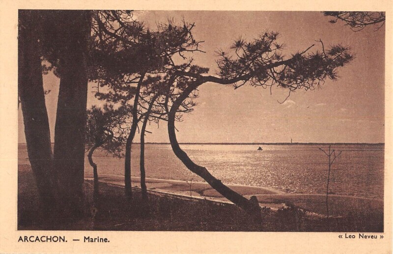 Carte postale ancienne Marine à Arcachon