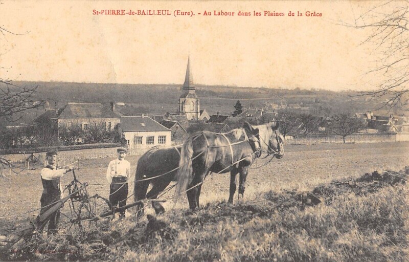 Carte postale ancienne Saint Pierre De Bailleul Au Labour Dans Les Plaines De La Grace à Saint-Pierre-de-Bailleul