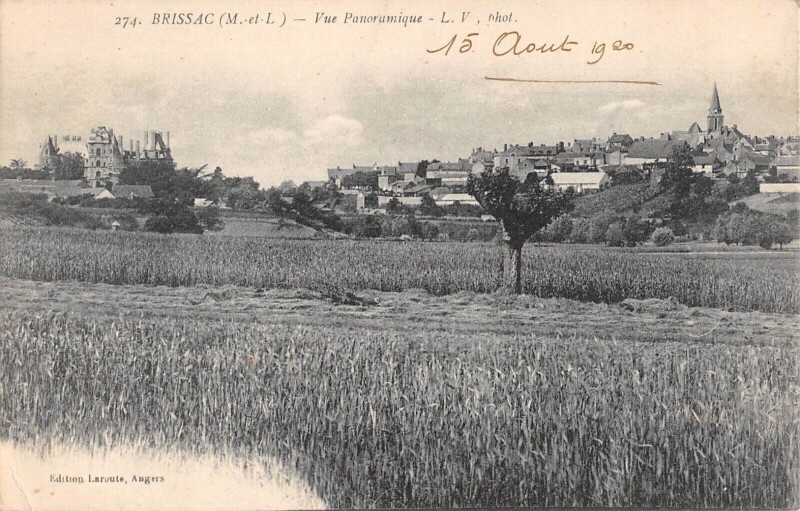 Carte postale ancienne Brissac Vue Panoramique