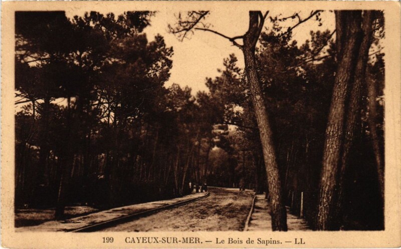 Carte postale ancienne Cayeux-sur-Mer Le Bois de Sapins à Cayeux-sur-Mer