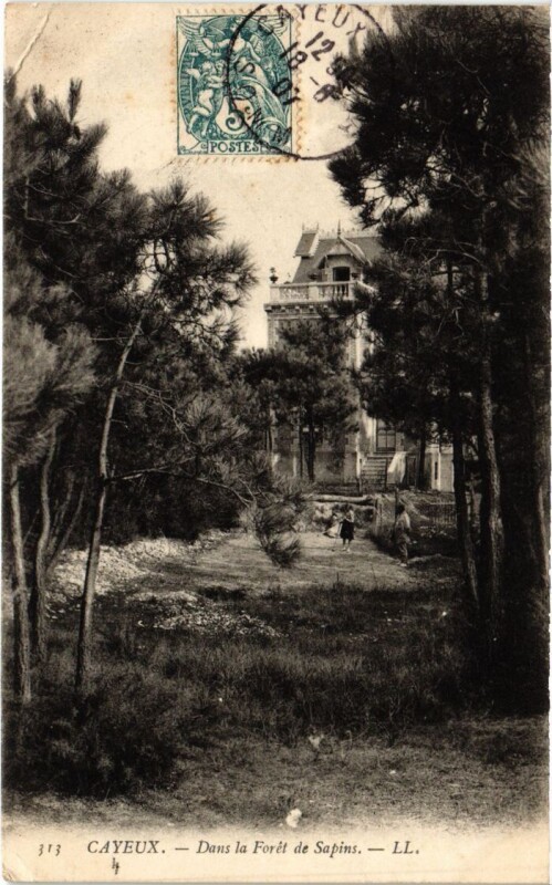 Carte postale ancienne Cayeux-sur-Mer Dans la Foret de Sapins à Cayeux-sur-Mer