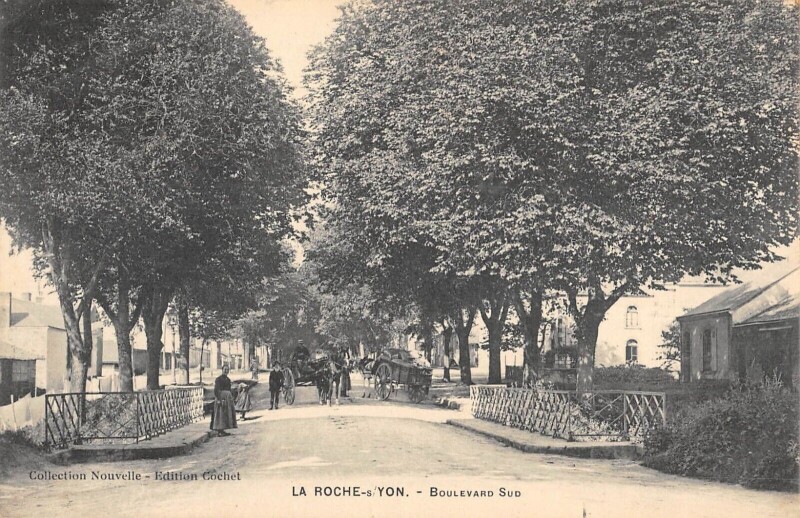 Carte postale ancienne La Roche Sur Yon Boulevard Sud à La Roche-sur-Yon