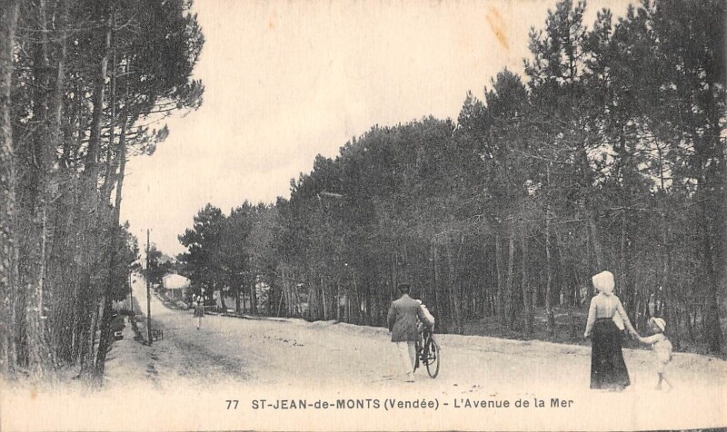 Carte postale ancienne Saint Jean De Monts L'Avenue De La Mer à Saint-Jean-de-Monts
