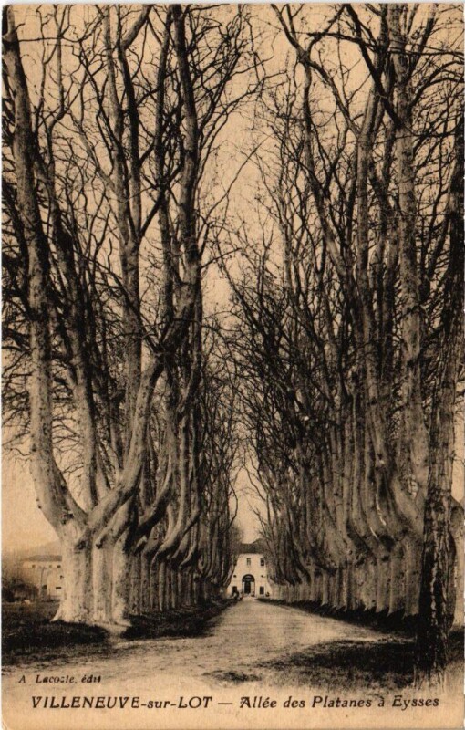 Carte postale ancienne Villeneuve-Sur-Lot Allee des Platanes a Eysses à Villeneuve-sur-Lot