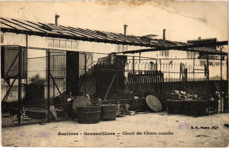 Carte postale ancienne Asnieres Gennevilliers Chenil des Chiens malades à Gennevilliers