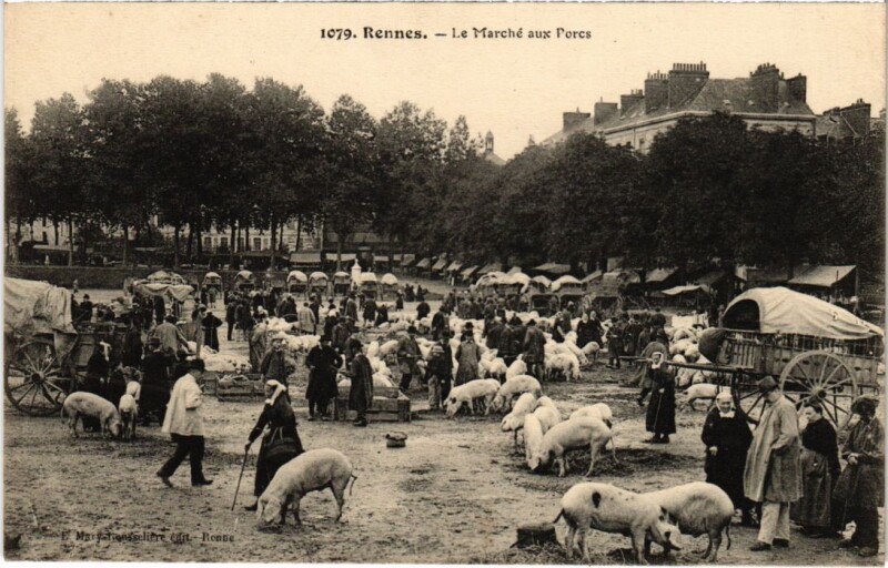 Carte postale ancienne Rennes Marche aux Porcs à Rennes