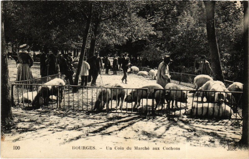 Carte postale ancienne Bourges un coin du marche aux Cochons à Bourges